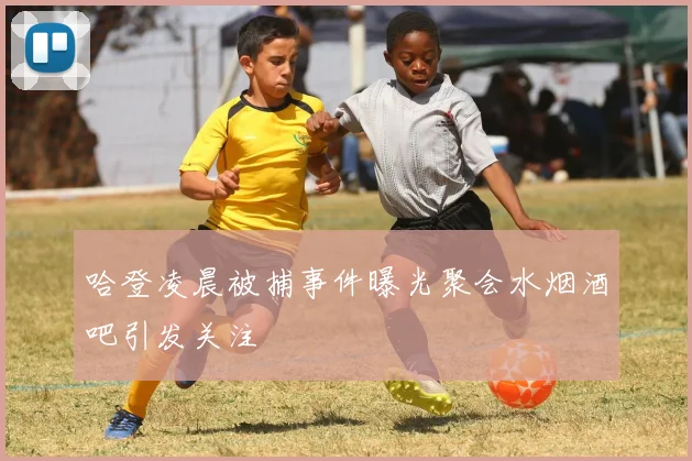 哈登凌晨被捕事件曝光聚会水烟酒吧引发关注